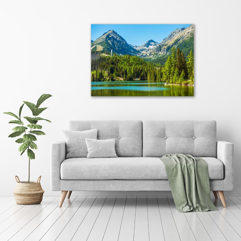 Acrylic wall picture Lake in the mountains