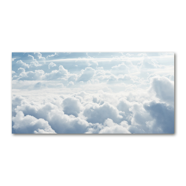 Acrylic wall picture Bird's flight clouds