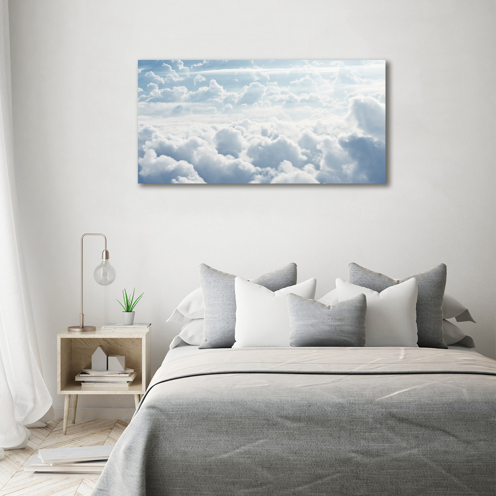 Acrylic wall picture Bird's flight clouds