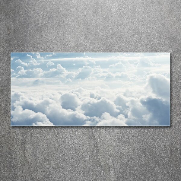 Acrylic wall picture Bird's flight clouds