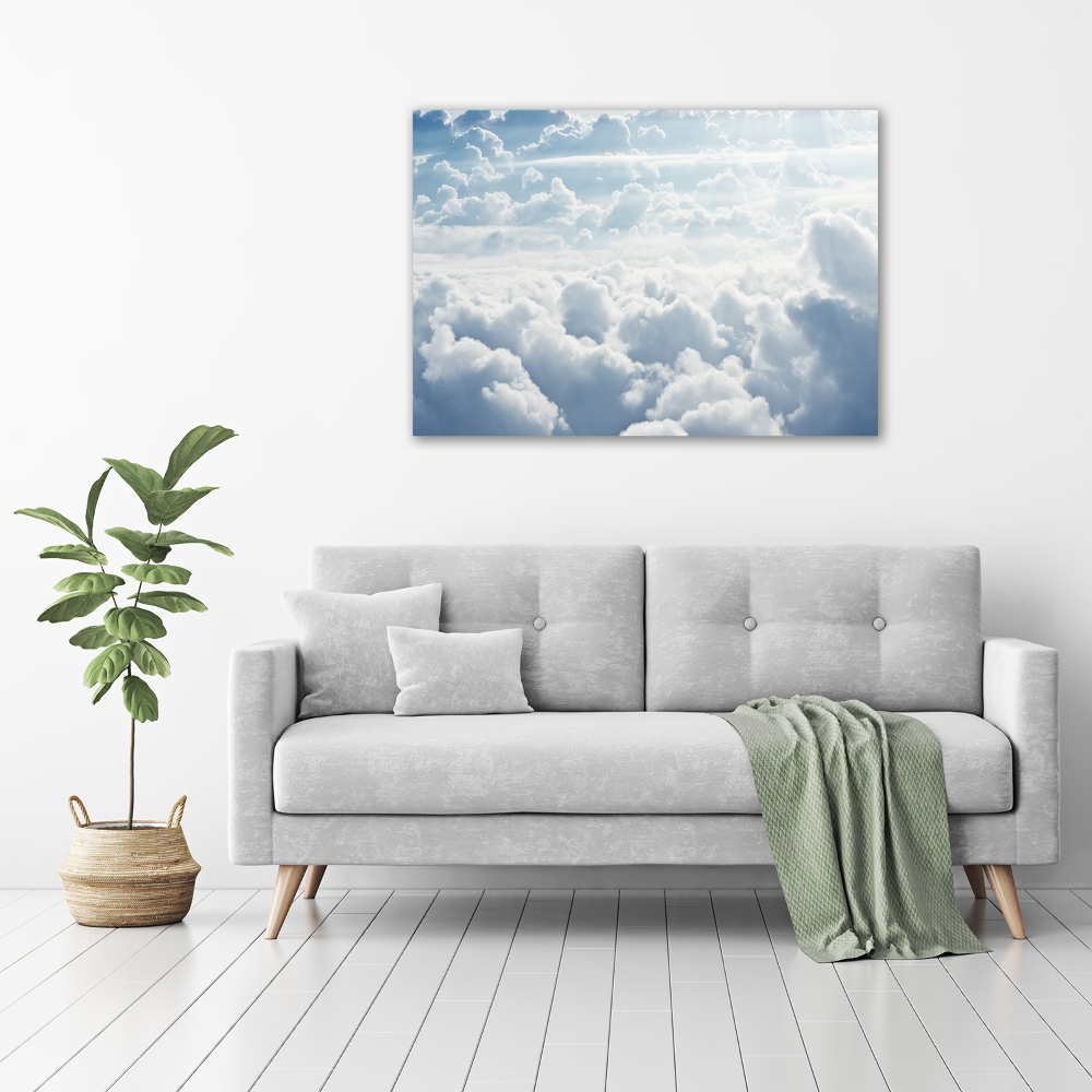 Acrylic wall picture Bird's flight clouds