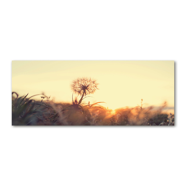 Glass acrylic wall art Dandelion