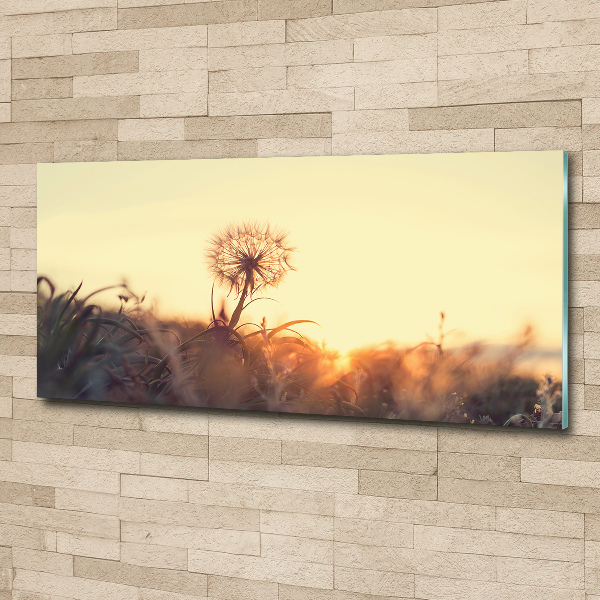 Glass acrylic wall art Dandelion