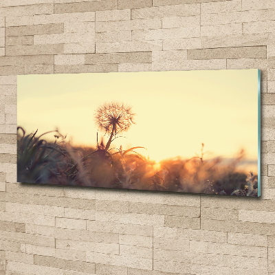 Glass acrylic wall art Dandelion