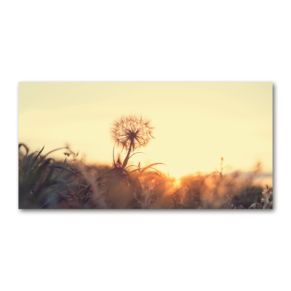 Glass acrylic wall art Dandelion