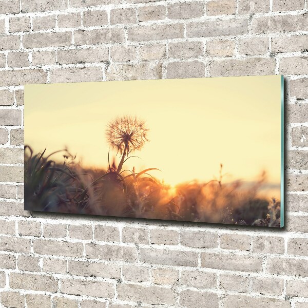 Glass acrylic wall art Dandelion