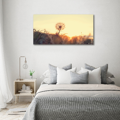 Glass acrylic wall art Dandelion