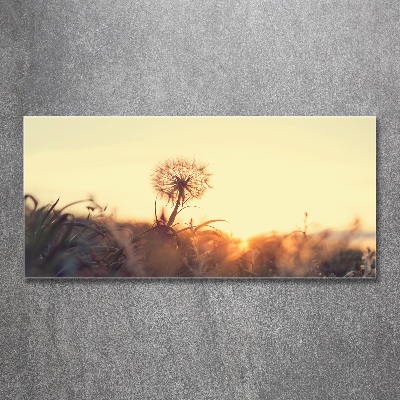 Glass acrylic wall art Dandelion