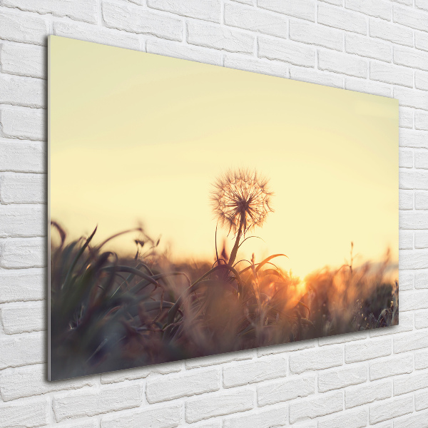 Glass acrylic wall art Dandelion