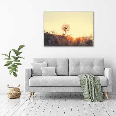 Glass acrylic wall art Dandelion