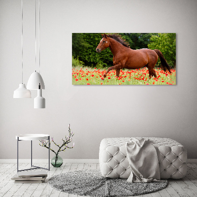 Print on acrylic A horse in the field of poppies