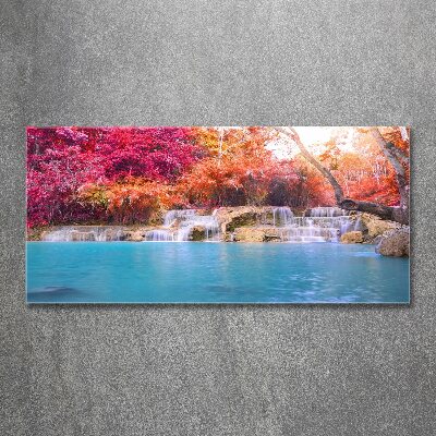 Print on acrylic Waterfall in the forest