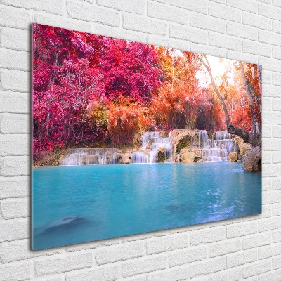 Print on acrylic Waterfall in the forest