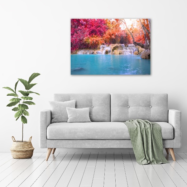 Print on acrylic Waterfall in the forest