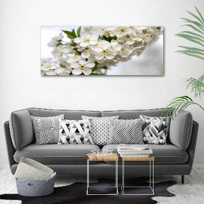 Acrylic print Cherry blossoms