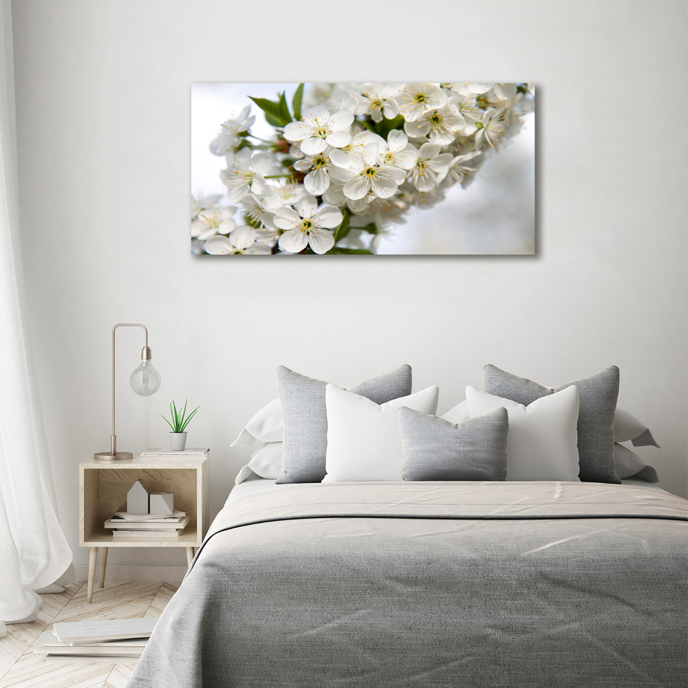 Acrylic print Cherry blossoms