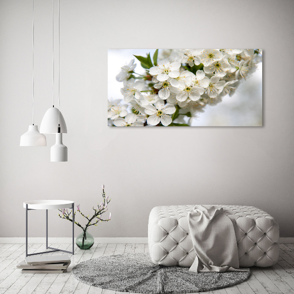 Acrylic print Cherry blossoms