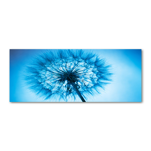 Acrylic print Dandelion