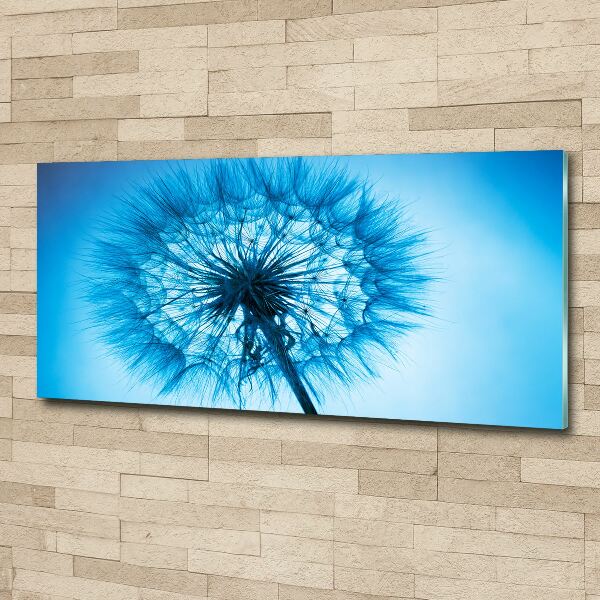 Acrylic print Dandelion