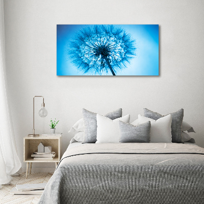 Acrylic print Dandelion