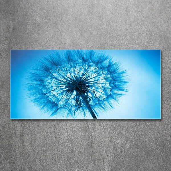 Acrylic print Dandelion