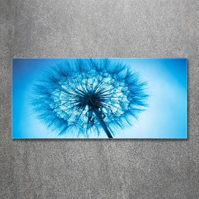 Acrylic print Dandelion