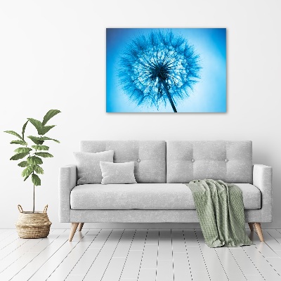 Acrylic print Dandelion