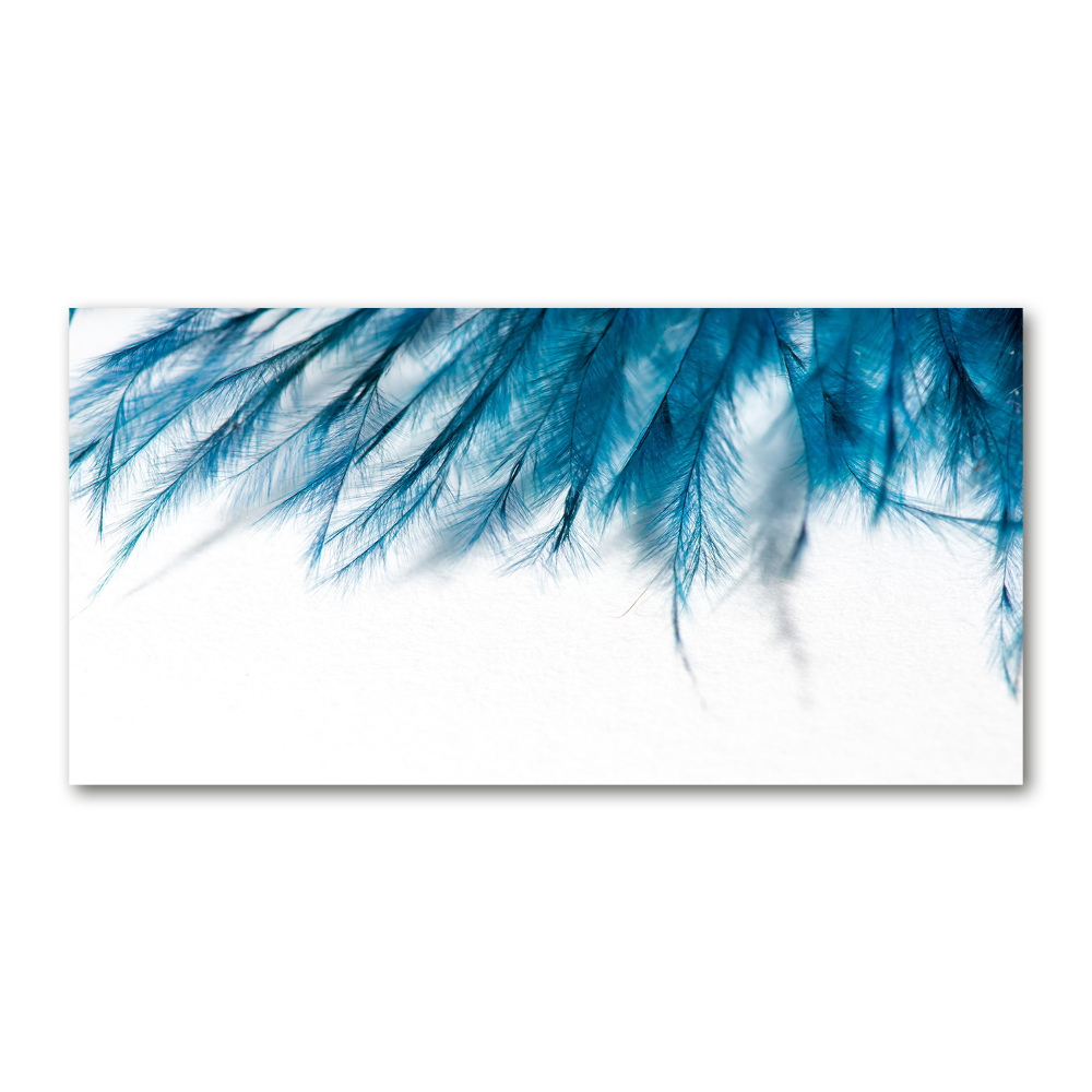 Print on acrylic Blue feathers