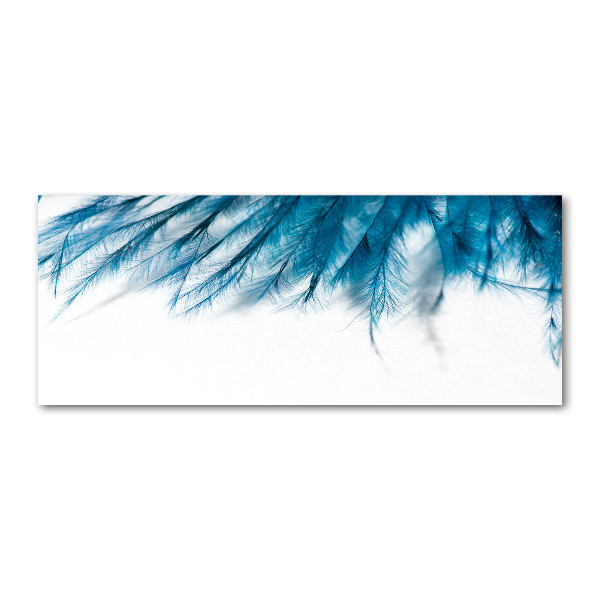 Print on acrylic Blue feathers