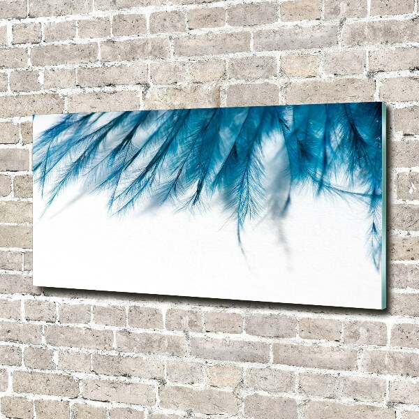 Print on acrylic Blue feathers