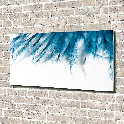 Print on acrylic Blue feathers