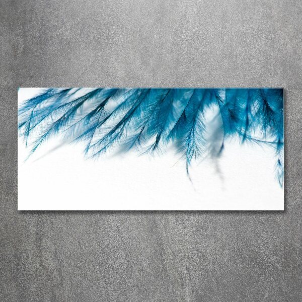 Print on acrylic Blue feathers