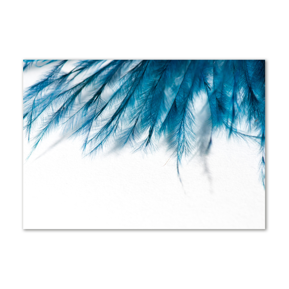 Print on acrylic Blue feathers