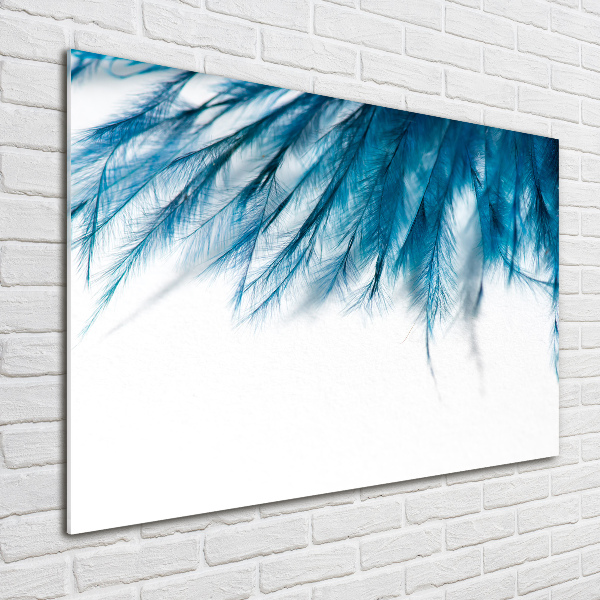 Print on acrylic Blue feathers