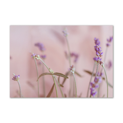 Glass acrylic wall art Lavender