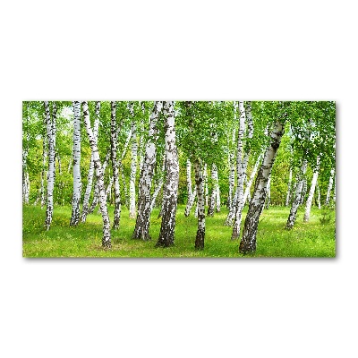 Print on acrylic Birch forest