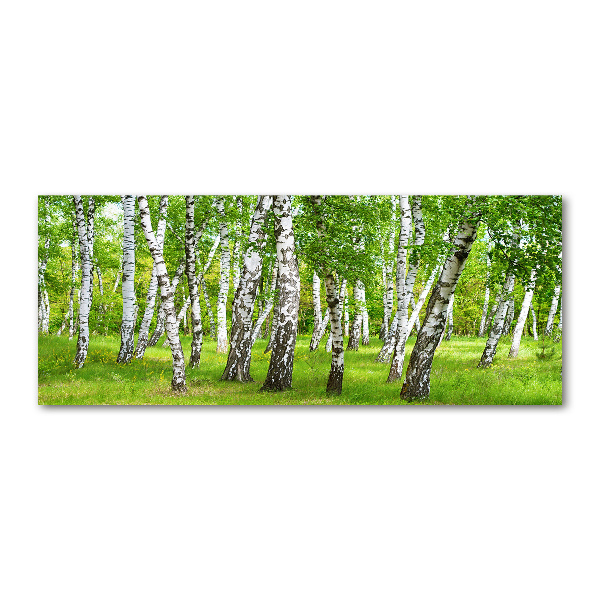 Print on acrylic Birch forest