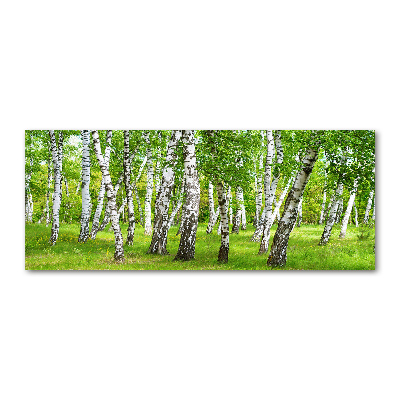 Print on acrylic Birch forest