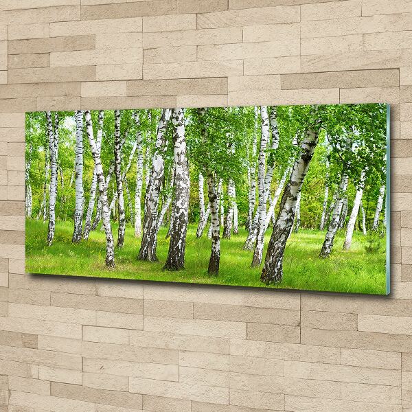 Print on acrylic Birch forest