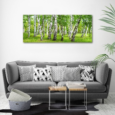 Print on acrylic Birch forest