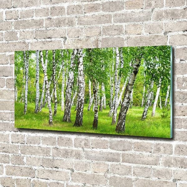 Print on acrylic Birch forest