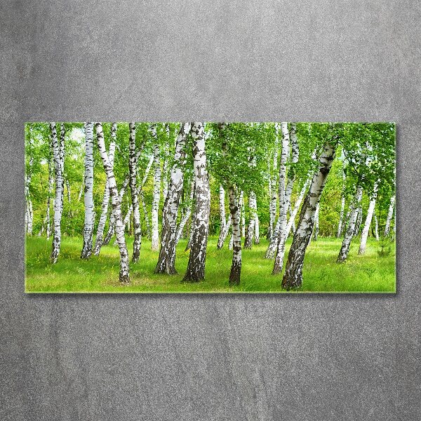 Print on acrylic Birch forest