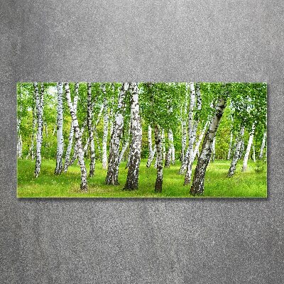 Print on acrylic Birch forest