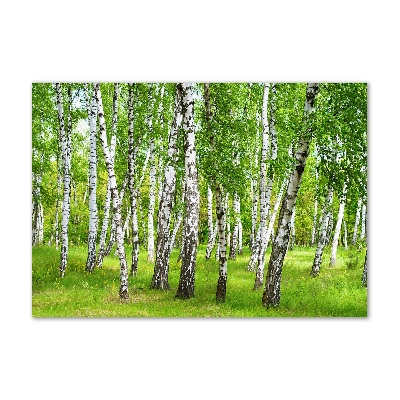 Print on acrylic Birch forest