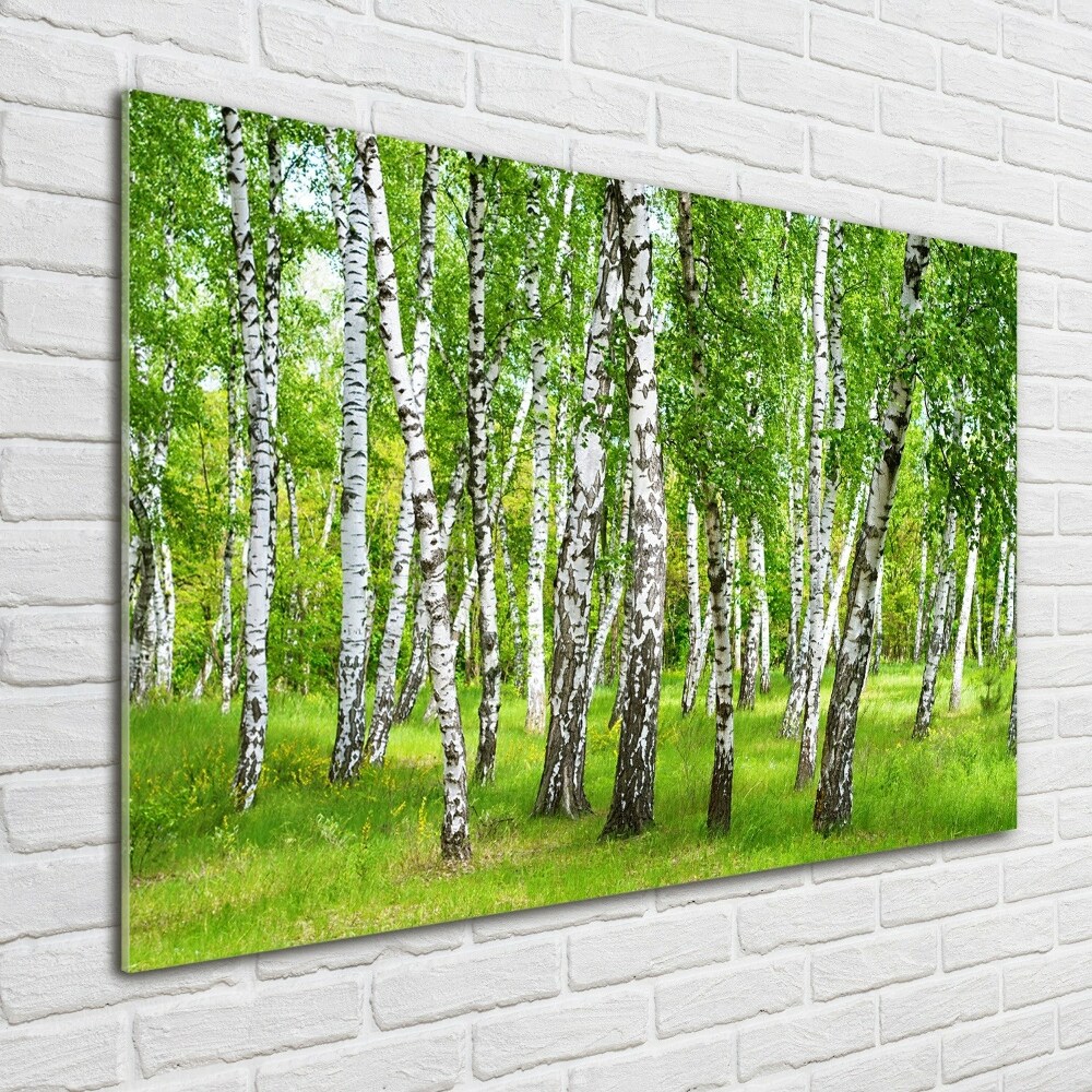 Print on acrylic Birch forest