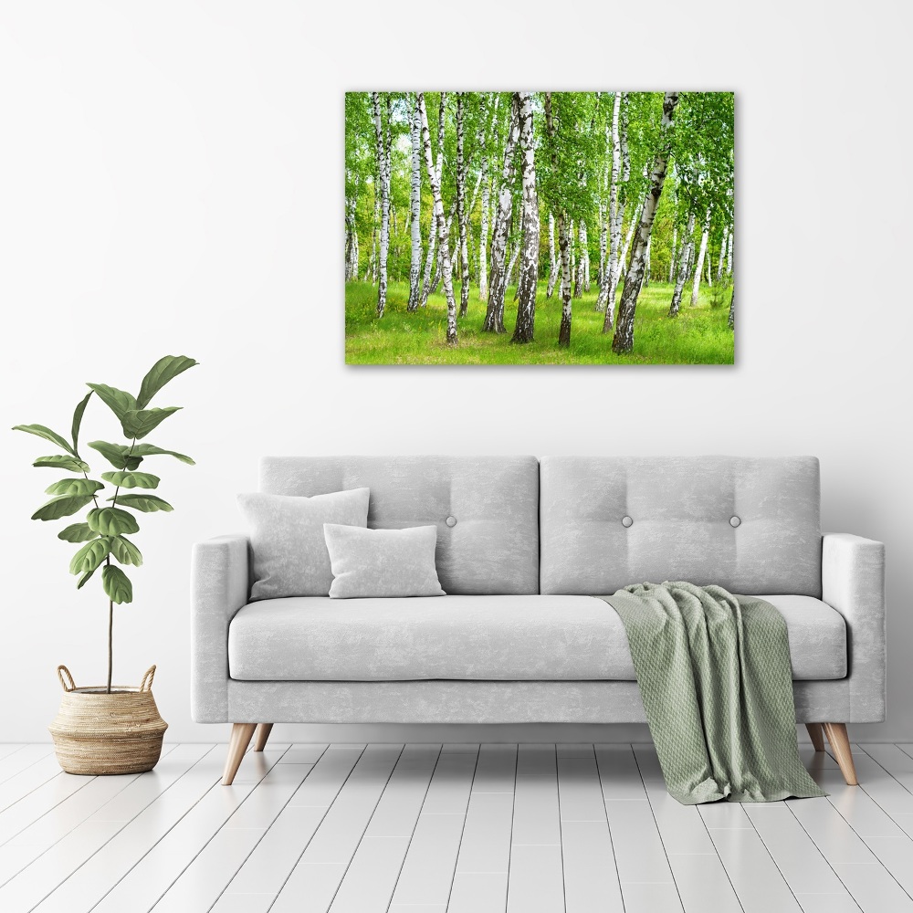 Print on acrylic Birch forest