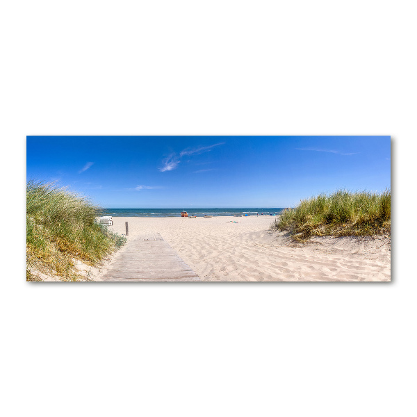 Print on acrylic Coastal dunes