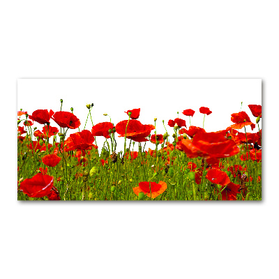 Glass acrylic wall art Field poppies