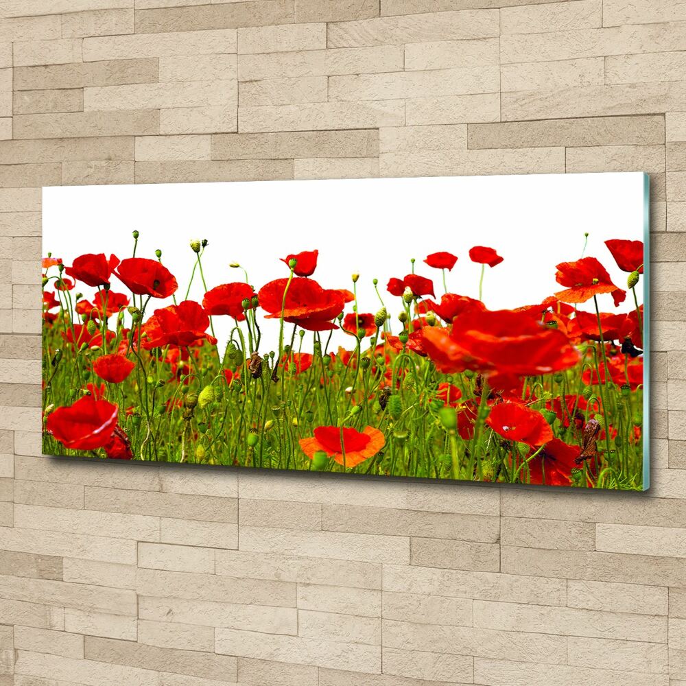 Glass acrylic wall art Field poppies