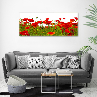 Glass acrylic wall art Field poppies